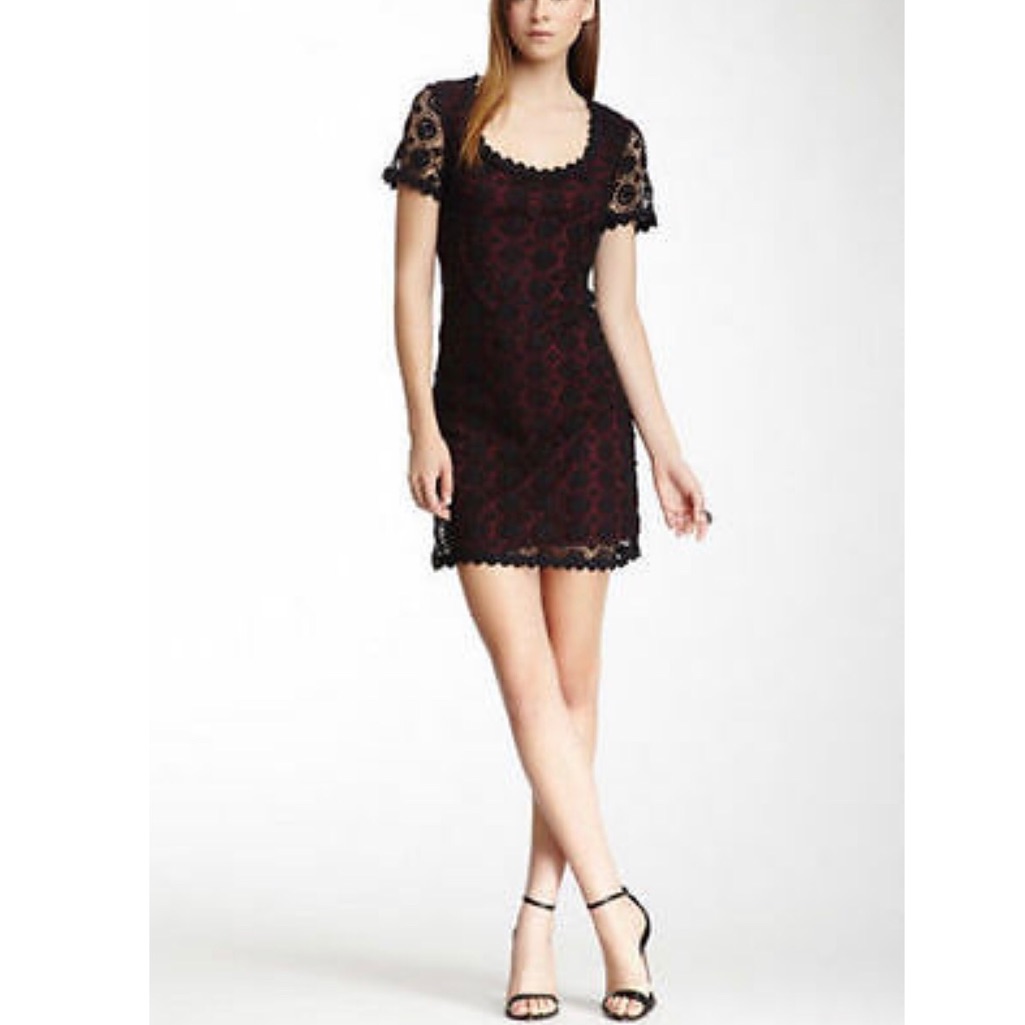 Nwt French Connection Lace Dress